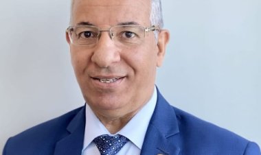 الدكتور محمد اليماني يكتب:  انجازات قطاع الكهرباء المصري خلال 8 سنوات