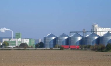 الشركة المصرية للإيثانول الحيوي