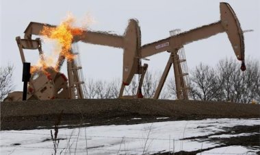 وسط مخاوف بشأن إمدادات الطاقة .. تراجع ثقة المستثمرين في ألمانيا