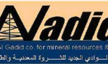 "واديكو"  125 مليون جنيه تكلفة الخطة الاستثمارية..  و300 إيرادات متوقعة