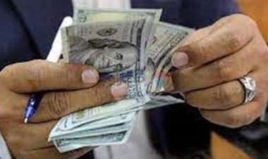 45 قرشًا زيادة في سعر الدولار بالبنك المركزي منذ بداية سبتمبر الماضي