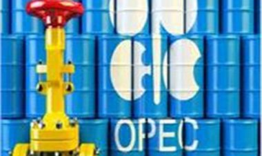 وزير الطاقة السعودي: أوبك+ تعمل على وجود سوق آمنة ومستدامة