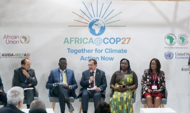 مائدة مستديرة في قمة COP27 لدعم التحول الطاقى لقارة أفريقيا