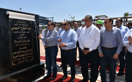 1.4 مليار دولار استثمارات مشروعات البتروكيماويات الجديدة