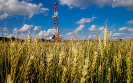 "فينترسال دِيا" تكتشف مع شركائها بئراً للغاز الطبيعي في منطقة التنقيب بشرق دمنهور