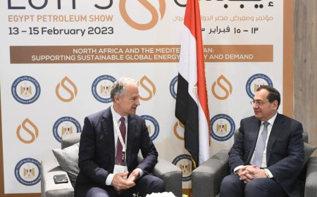 باكسون الامريكية.. مصر جاذبة للاستثمار في مشروعات خفض الانبعاثات والتقاط الكربون