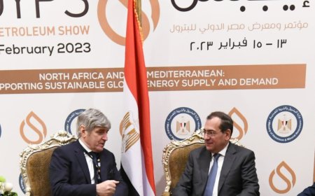 وزير البترول يبحث مع تكنيمونت الإيطالية سبل التعاون في مجالات البتروكيماويات والتكرير والتحول الطاقى