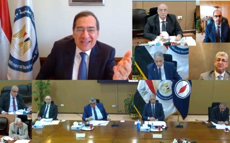 وزير البترول يشدد على أهمية استمرار الإنتاج مع إحراز تقدم فى التوافق البيئى