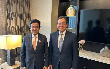 "بترول ابوظبى الوطنية" مهتمة بتنمية اعمالها واستثماراتها فى مصر
