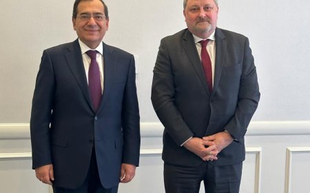 "فالكو إنرجي الأمريكية" تسعى لزيادة استثماراتها في قطاع البترول المصرى