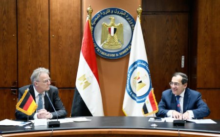 مصر وألمانيا يبحثان تفعيل التعاون في مجالات الغاز الطبيعي المسال والهيدروجين والطاقات الخضراء