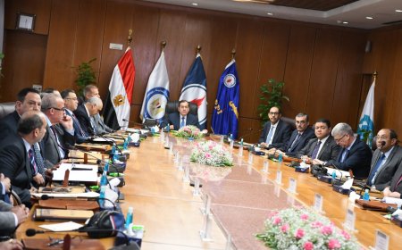 أنبي تحقق 17.3 مليار جنية إيرادات خلال 2022