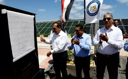 وزير البترول  يفتتح محطة الطاقة الشمسية بميناء الحمراء بالعلمين الجديدة 