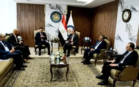 وزير البترول يلتقي عميد هندسة القاهرة ومدير مركز البحوث و الدراسات التعدينية