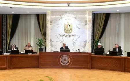 " الوزراء" يمنح الرخصة الذهبية لشركة "جاسكو" لإنهاء مشروع زيادة الطاقة الاستيعابية لمجمع غازات الصحراء الغربية