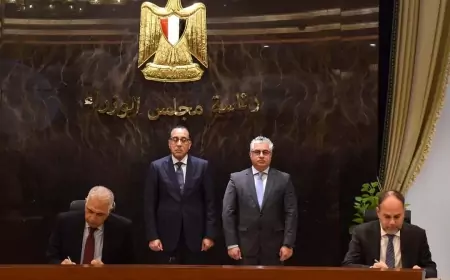باستثمارات مليار يورو..  "رئيس الوزراء" يشهد توقيع عقد إنشاء مصنع إطارات باستثمارات مليار يورو بالمنطقة الاقتصادية لقناة السويس