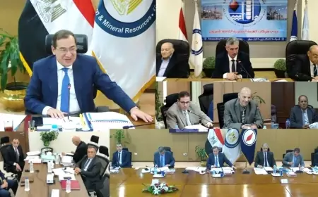 الاسكندرية للبترول : تكرير 8ر4 ملايين طن خام خلال العام