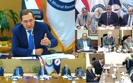 أنابيب البترول : مشروعات توسعية لخطوط الشبكة ونظم رقمية حديثة لتأمينها