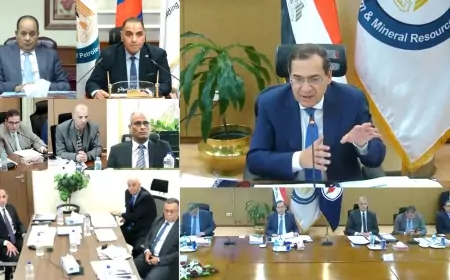 البتروكيماويات المصرية تحقق أعلى إنتاج لها على الإطلاق..   و28 ملايين دولار قيمة صادراتها في عام واحد