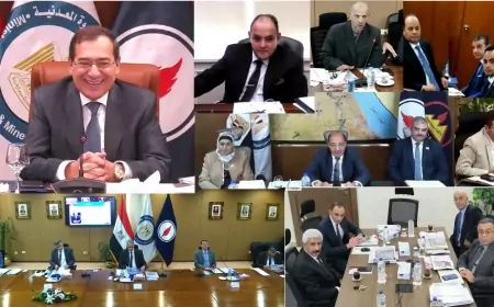 "مصر للبترول" تبيع ٢ر٩ مليون طن من المنتجات البترولية والزيوت المعدنية ووقود الطائرات والسفن خلال عام