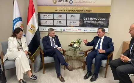 الملا يبحث مع بريتش بتروليم البريطانية خططها الاستثمارية في مصر