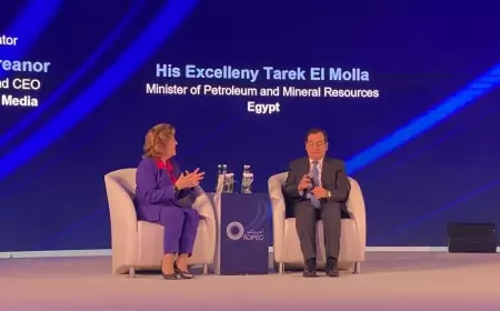 وزير البترول: مصر تعمل على التحول إلى مركز إقليمى لمصادر الطاقة النظيفة ومنخفضة الكربون