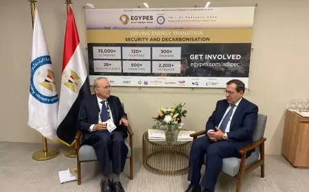 وزير البترول يبحث مع مؤسسة ستاندرد آند بورز  التعاون في مجالات خفض الانبعاثات والتحول الطاقي