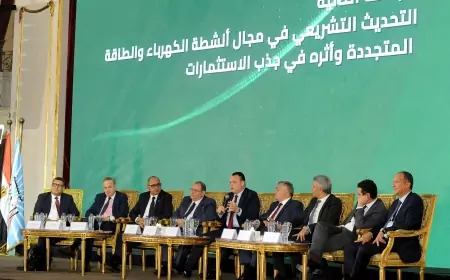 نجاحات كبيرة دوليا لشركة أكوا باور مصر