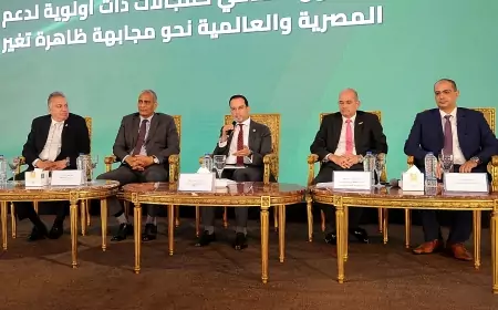 880 مليون دولار استثمارات مشروع لانتاج الامونيا الخضراء بالتعاون مع مستثمر أجنبى