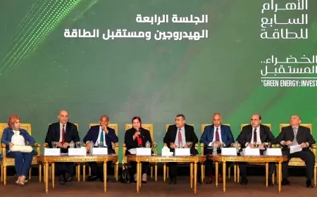 مصر مركز للصناعات المنتجة للهيدروجين الأخضر ودراسة لنقل ١٢٦ ميجا وات " متجددة" للشبكة