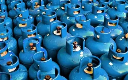 بطاقة مليون أسطوانة سنوياً.. سيدبك توقع اتفاقية مع ران جاز النيجيرية لإنشاء مصنع لإنتاج أسطوانات البوتاجاز بمصر