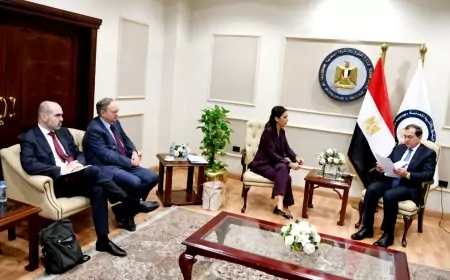 وزير البترول يلتقي فريق عمل منصة الطاقة  بالمفوضية الأوروبية