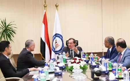 "وزير البترول" يبحث مع هنى ويل العالمية مشروعات  الطاقة الخضراءالتي ينفذها قطاع البترول حالياً