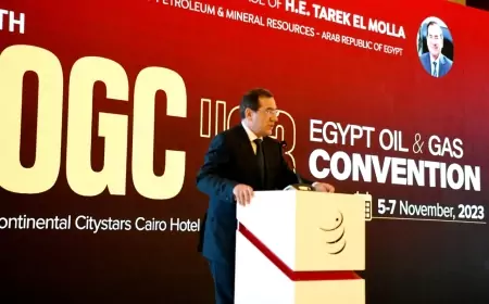 "وزير البترول" رؤية الاستدامة واستراتيجية إزالة الكربون أولوية لصناعة البترول والغاز