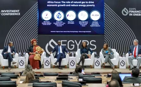 "إيجبس 2024" ينطلق تحت شعار "تحفيز الطاقة: تأمين الإمدادات والانتقال الطاقي وخفض الانبعاثات"