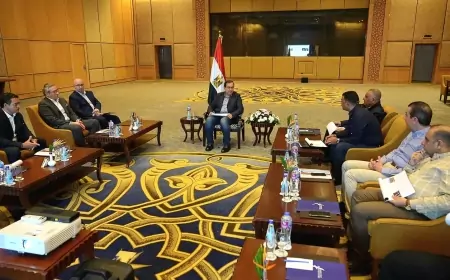 وزير البترول والثروة المعدنية يتابع  تقدم الأعمال بشركتى Akh Gold و إبداع