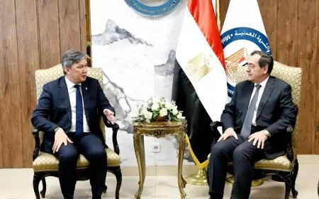 وزير البترول يجري مباحثات مشتركة مع بتروناس الماليزية فى مجال البترول والغاز