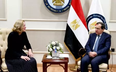 وزير البترول يبحث مع سفيرة جمهورية سلوفاكيا التعاون بين البلدين فى مجالات البترول والغاز وخفض الانبعاثات