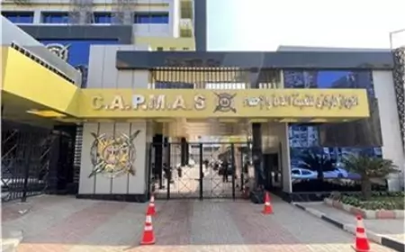 الجهاز المركزي للإحصاء يعلن ارتفاع الصادرات المصرية للاتحاد الأوروبي إلى 6.8 مليار دولار في النصف الأول من 2025