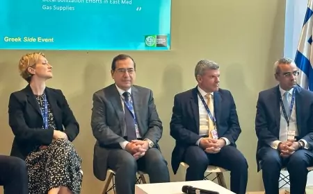 "وزير البترول ": الغاز هو الوقود الانتقالي الأنسب نحو الانتقال إلى نظام طاقة عالمي منخفض الكربون