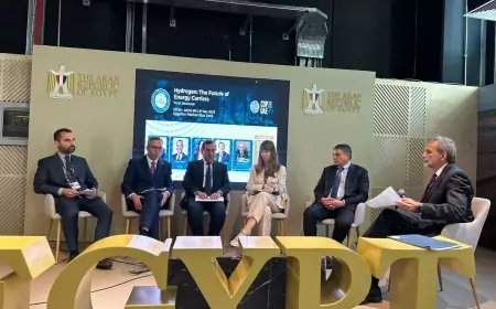 وزير البترول : الهيدروجين منخفض الكربون ومشتقاته يُعد من أبرز الحلول للتغلب على التحديات التي تواجهها صناعة الطاقة