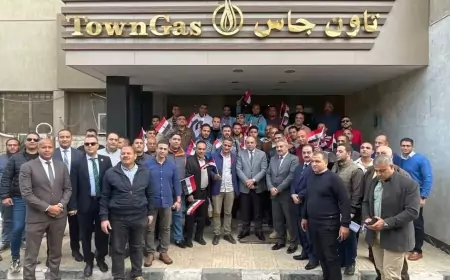تاون جاس تشارك في إنتخابات الرئاسة المصريه  ٢٠٢٤