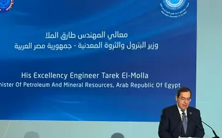 وزير البترول: مصر تعمل على استغلال مقوماتها التنافسية لتطويع أزمات وتحديات الطاقة العالمية