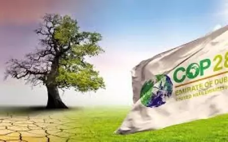 "كوب 28 " تعلن أول  اتفاق من نوعه  يبشر بنهاية لعصر النفط.