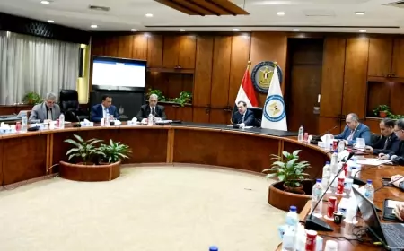وزير البترول والثروة المعدنية يترأس الاجتماع الدورى للجنة العمليات المتكاملة للإنتاج البترولى