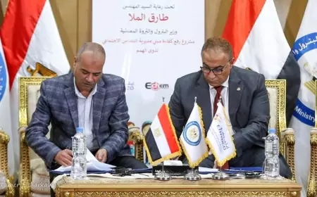 بروتوكول تعاون بين شركة ايثيدكو ومديرية التضامن الاجتماعي بالإسكندرية لتقديم خدمات العلاج الطبيعي والتأهيل لذوي الهمم بالعامرية