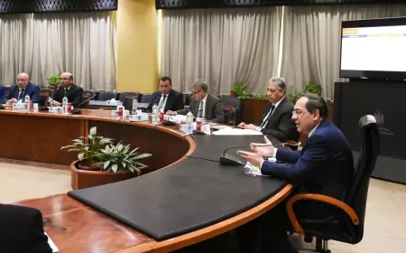 وزير البترول يترأس الاجتماع الدورى الثالث للجنة العليا لعمليات الإنتاج بالصحراء الشرقية
