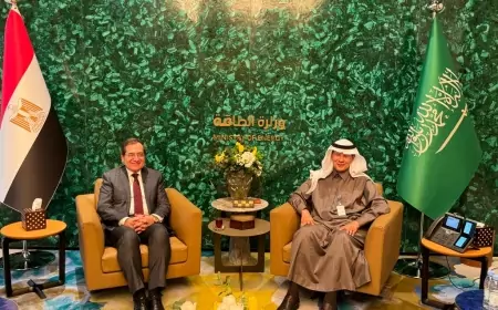 في مقر وزارة الطاقة السعودية .. جلسة مباحثات بين وزير البترول المصري ونظيره السعودي