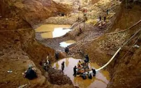 وزير البترول والثروة المعدنية: مصرتمتلك 7.3 مليون أوقية احتياطى مؤكد من الذهب