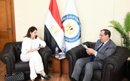 وزير البترول يبحث مع بى بى البريطانية خططتها لزيادة معدلات الانتاج من الغاز